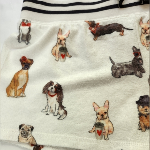 PJ Salvage - Picture 5 of 14